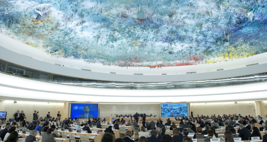 Human Rights Council