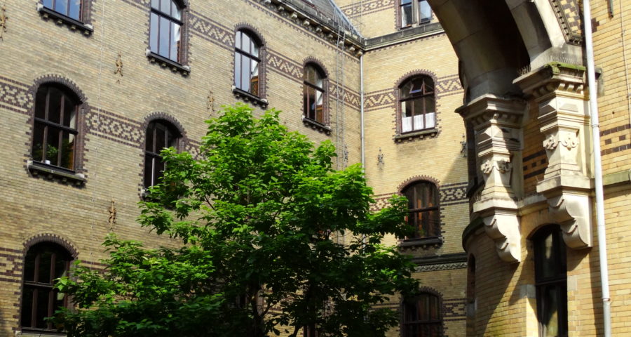 Dsc03679